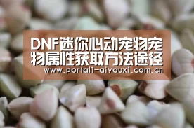 DNF迷你心动宠物宠物属性获取方法途径技巧介绍-爱游戏直播(图3) 体育直播