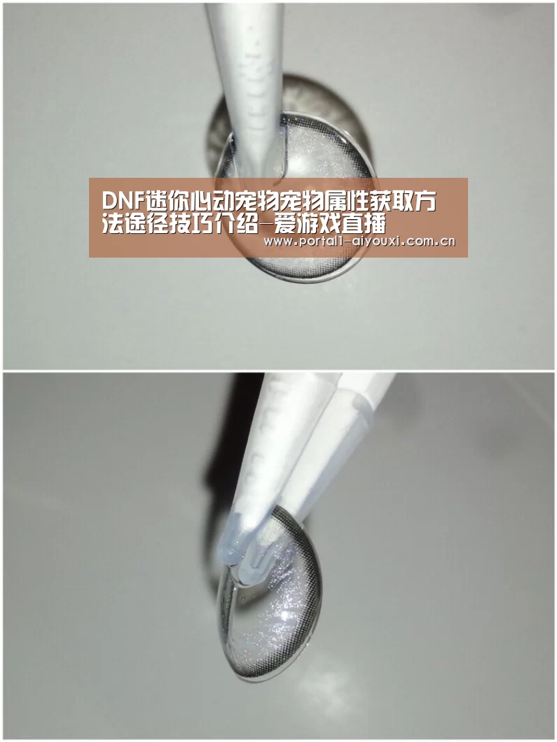 DNF迷你心动宠物宠物属性获取方法途径技巧介绍-爱游戏直播