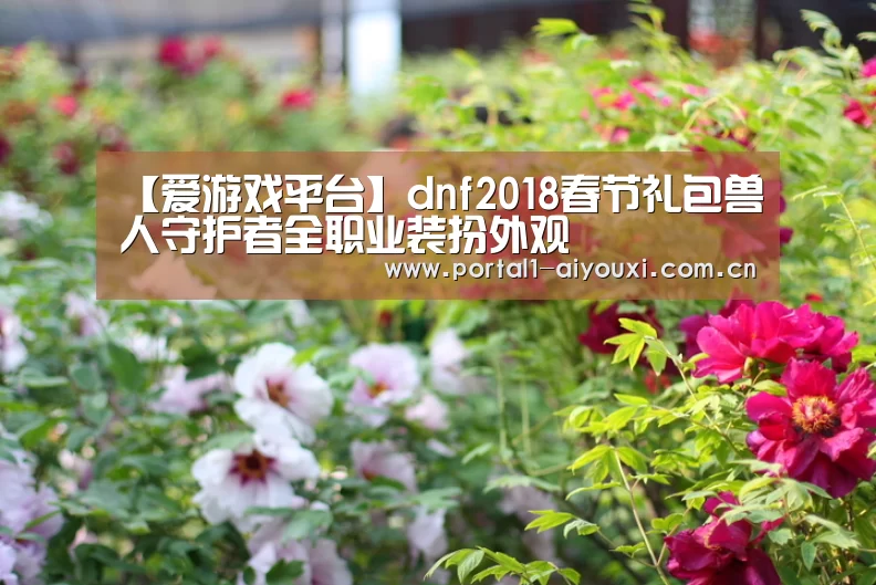 【爱游戏平台】dnf2018春节礼包兽人守护者全职业装扮外观(图2) 爱游戏平台
