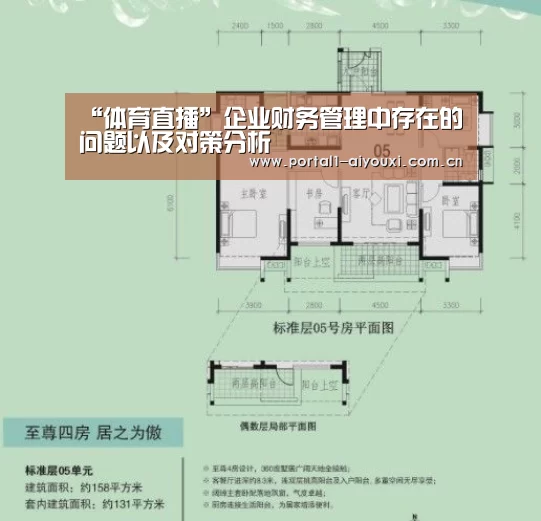 “体育直播”企业财务管理中存在的问题以及对策分析